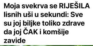 Svekrva se riješila lisnih uši za nekoliko sekundi: biljke koje uzgaja toliko su zdrave da su joj čak i susjedi zavidni