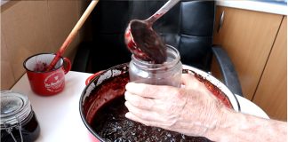 Zanima vas koji je najidealniji način za spremanje pekmeza od šljiva u pećnici? Pripremite se za iskustvo neusporedivog okusa! (Recept)