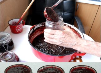 Zanima vas koji je najidealniji način za spremanje pekmeza od šljiva u pećnici? Pripremite se za iskustvo neusporedivog okusa! (Recept)