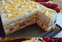 NE PEČE SE I NE KUVA: Voćni kolač sa piškotama za 15 minuta…VIDEO…