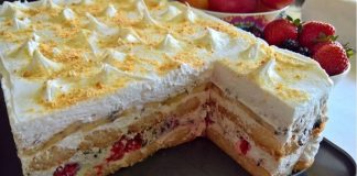 NE PEČE SE I NE KUVA: Voćni kolač sa piškotama za 15 minuta…VIDEO…