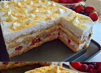 NE PEČE SE I NE KUVA: Voćni kolač sa piškotama za 15 minuta…VIDEO…