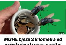 MUHE Bježe 2 Kilometra Od Vaše Kuće Ako 0vo Uradite! Besplatan Rastjerivač