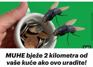 MUHE Bježe 2 Kilometra Od Vaše Kuće Ako 0vo Uradite! Besplatan Rastjerivač