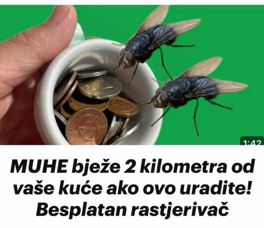 MUHE Bježe 2 Kilometra Od Vaše Kuće Ako 0vo Uradite! Besplatan Rastjerivač