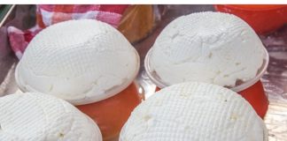 Pripremite smjesu od jogurta i soli, pa je stavite u hladnjak.