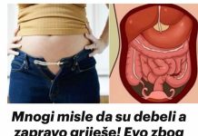 Mnogi misle da su debeli a zapravo griješe! Evo zbog čega vam je stomak velik i KAKO SE RIJEŠITI TOGA…