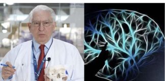 Kao neurolog, važno je napomenuti da mozak ima averziju prema masti, duhanu i alkoholu.