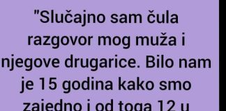 Dok sam diskretno prisluškivao, nenamjerno sam uhvatio djeliće rasprave između mog supružnika i njegove družice.