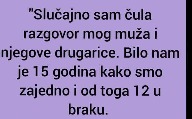 Dok sam diskretno prisluškivao, nenamjerno sam uhvatio djeliće rasprave između mog supružnika i njegove družice.