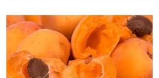 Nisu B0lesni I Ne Znaju Za RAK! Žive Dobro Preko 100 Godina, A Žene Rađaju I Sa 65 Godina!