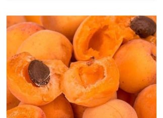 Nisu B0lesni I Ne Znaju Za RAK! Žive Dobro Preko 100 Godina, A Žene Rađaju I Sa 65 Godina!