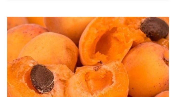 Nisu B0lesni I Ne Znaju Za RAK! Žive Dobro Preko 100 Godina, A Žene Rađaju I Sa 65 Godina!