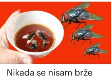 Nikad nisam iskusio učinkovitiju metodu za uklanjanje muha: ovaj jednostavan trik za vaš dom je nevjerojatno učinkovit!