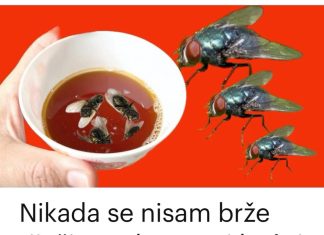 Nikad nisam iskusio učinkovitiju metodu za uklanjanje muha: ovaj jednostavan trik za vaš dom je nevjerojatno učinkovit!