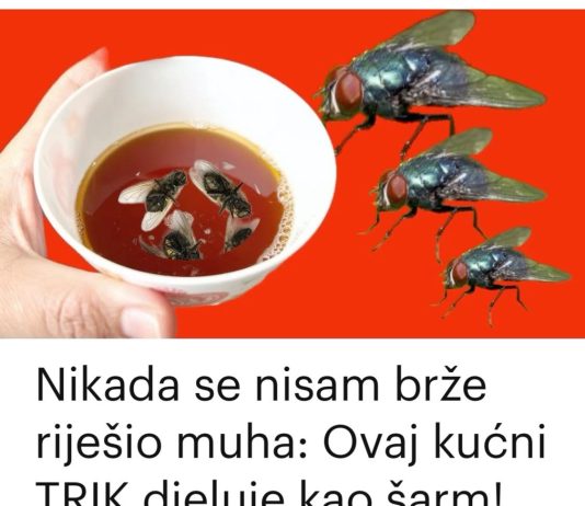 Nikad nisam iskusio učinkovitiju metodu za uklanjanje muha: ovaj jednostavan trik za vaš dom je nevjerojatno učinkovit!