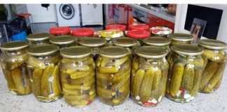 Mirisni i hrskavi krastavci za zimu!