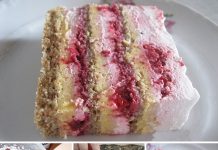 PLAZMA TORTA SA MALINAMA GOTOVA ZA 10MINUTA 🍰🍰🍰