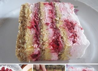 PLAZMA TORTA SA MALINAMA GOTOVA ZA 10MINUTA 🍰🍰🍰