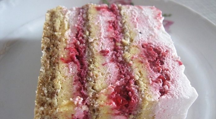 PLAZMA TORTA SA MALINAMA GOTOVA ZA 10MINUTA 🍰🍰🍰