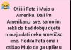 Današnji vic se vrti oko duhovitih nezgoda Fate i Muje za vrijeme njihovog boravka u Americi.