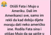 Današnji vic se vrti oko duhovitih nezgoda Fate i Muje za vrijeme njihovog boravka u Americi.