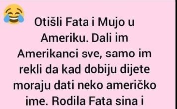 Današnji vic se vrti oko duhovitih nezgoda Fate i Muje za vrijeme njihovog boravka u Americi.
