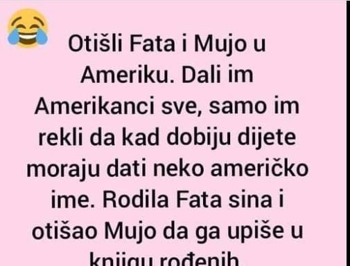 Današnji vic se vrti oko duhovitih nezgoda Fate i Muje za vrijeme njihovog boravka u Americi.