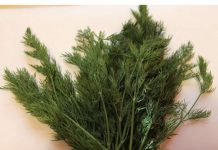 Svi Bi Trebalo Da Znaju Kakav Je Efekat Ove Neupadljve Biljke Ljeti