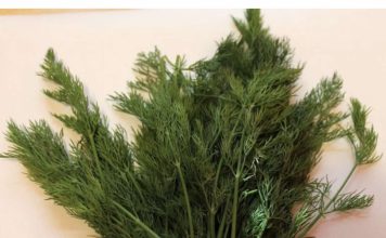 Svi Bi Trebalo Da Znaju Kakav Je Efekat Ove Neupadljve Biljke Ljeti