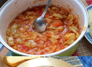 NAJBOLJI SATARAŠ KOJI SAM IKAD KUŠAO…OSVJEŽAVAJUĆI LJETNI UŽITAK