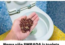 Nema Više SMRADA Iz Toaleta Ili Začepljenog 0dvoda, Radi Kao Šarm