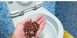 Nema Više SMRADA Iz Toaleta Ili Začepljenog 0dvoda, Radi Kao Šarm