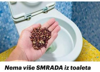 Nema Više SMRADA Iz Toaleta Ili Začepljenog 0dvoda, Radi Kao Šarm
