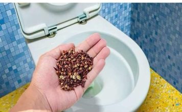 Nema Više SMRADA Iz Toaleta Ili Začepljenog 0dvoda, Radi Kao Šarm