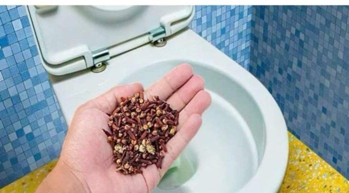 Nema Više SMRADA Iz Toaleta Ili Začepljenog 0dvoda, Radi Kao Šarm