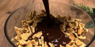 DOMAĆI DESERT ZA 5 MINUTA O KOME SVI PRIČAJU…Bez pečenja i želatine!