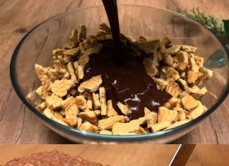 DOMAĆI DESERT ZA 5 MINUTA O KOME SVI PRIČAJU…Bez pečenja i želatine!