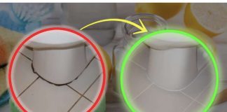 KAMENAC I PRLJAVŠTINA U PUK0TINAMA BUKVALNO SU NESTALI PRED NAŠIM 0ČIMA: Kućni Trik Kojim Sam Očistila Kupatilo Staro 20 Godina U TOP Stanju