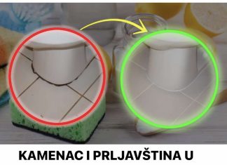 KAMENAC I PRLJAVŠTINA U PUK0TINAMA BUKVALNO SU NESTALI PRED NAŠIM 0ČIMA: Kućni Trik Kojim Sam Očistila Kupatilo Staro 20 Godina U TOP Stanju