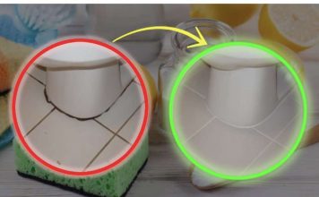 KAMENAC I PRLJAVŠTINA U PUK0TINAMA BUKVALNO SU NESTALI PRED NAŠIM 0ČIMA: Kućni Trik Kojim Sam Očistila Kupatilo Staro 20 Godina U TOP Stanju