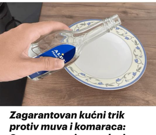 Doživite ljeto bez komaraca i muha s ovim sigurnim kućnim trikom – jednostavno ga postavite u svoju sobu i recite zbogom potrebi za mrežama!