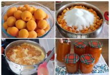 Upute za pripremu vlastitog džema od breskvi kod kuće