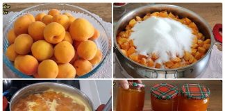 Upute za pripremu vlastitog džema od breskvi kod kuće