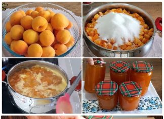 Upute za pripremu vlastitog džema od breskvi kod kuće