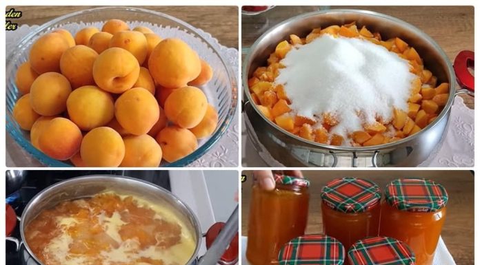 Upute za pripremu vlastitog džema od breskvi kod kuće