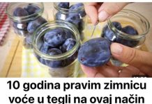 10 Godina Pravim Zimnicu Voće U Tegli Na Ovaj Način – Bakini Recepti Bez Hemije! TREBA VAM SAMO IGLA