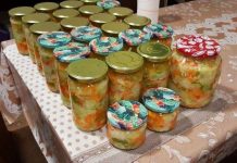 MIJEŠANA SALATA – NA HLADNO.. ZAPIŠITE SEBI OVAJ ODLIČAN RECEPT, TREBAT ĆE VAM USKORO!