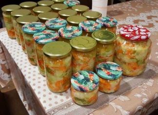 MIJEŠANA SALATA – NA HLADNO.. ZAPIŠITE SEBI OVAJ ODLIČAN RECEPT, TREBAT ĆE VAM USKORO!