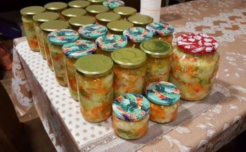 MIJEŠANA SALATA – NA HLADNO.. ZAPIŠITE SEBI OVAJ ODLIČAN RECEPT, TREBAT ĆE VAM USKORO!